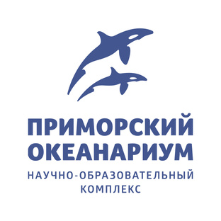 Статистика Дзен Приморский океанариум