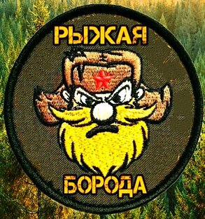 Статистика Дзен Рыжая Борода