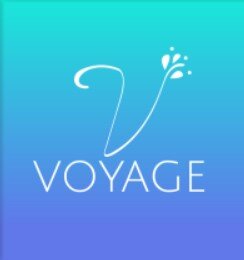 Презентация mon voyage