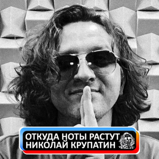Статистика Дзен Откуда Ноты Растут