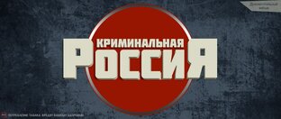 Статистика яндекс дзен Криминальная Россия