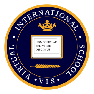 Статистика Дзен Virtual International School