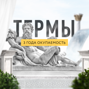 Статистика Дзен Новые термы | Бизнес-секреты