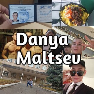 Статистика Дзен DANYA MALTSEV