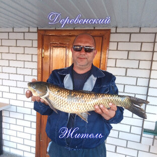 Дзен Деревенский Житель статистика