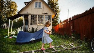 Дзен Дача статистика