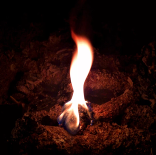 Дзен Огонек свободы статистика