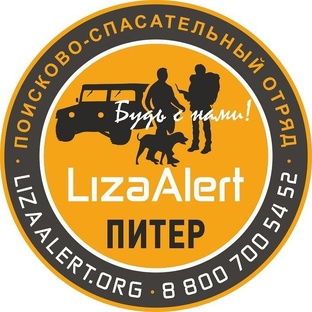 Статистика Дзен ЛизаАлерт Питер