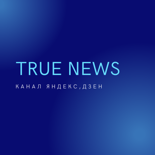 Дзен TRUE NEWS статистика