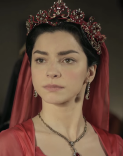 Дзен Великолепный век. Эпоха Нурбану, Сафие, Кесем и Турхан.  статистика