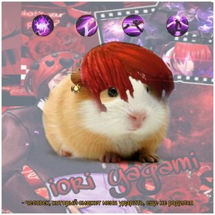 Дзен Deeki статистика