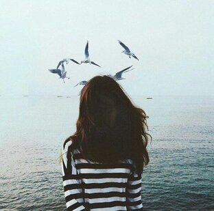 Дзен Дорога жизни статистика