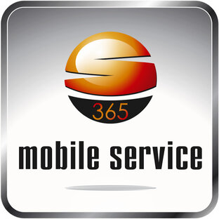Статистика Дзен Мобайл Сервис 365 / Mobile service 365