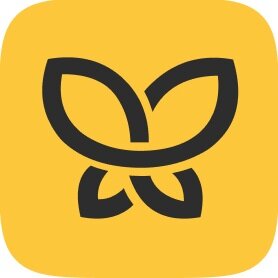 Статистика Дзен Торговый дом Папиллонс