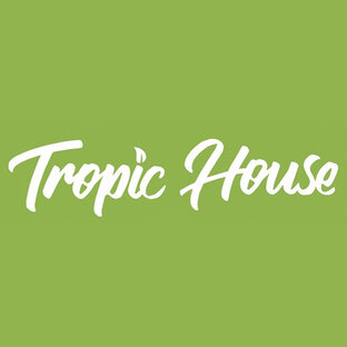 Статистика Дзен Tropic House