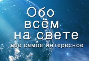 Немного обо всем дзен