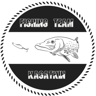 Статистика яндекс дзен Fishing Team Kasatkin