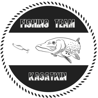 Статистика Дзен Fishing Team Kasatkin