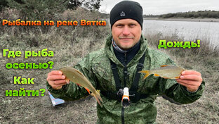 Статистика Дзен НаРыбалке43