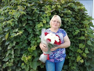 Статистика Дзен Елена ЛПХ Хомутовых