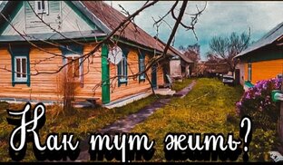 Статистика Дзен Мой Путь к Успеху
