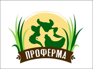 Дзен ПРОФЕРМА статистика