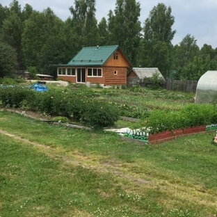 Статистика Дзен На даче с руками