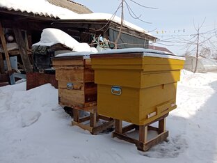 Регион 13 Пчеловодство в Лежаках.