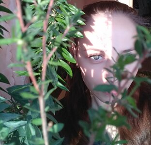 Статистика Дзен Екатерина Myrtus