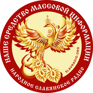 Статистика Дзен Народное Славянское радио