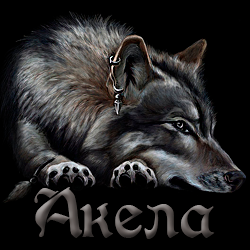 Статистика Дзен Alex Akela