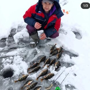 Статистика Дзен Рыбалка 161