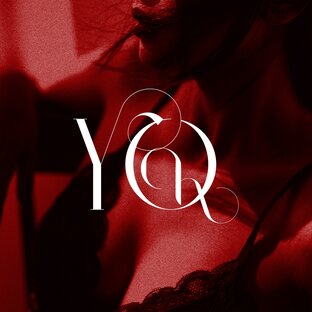 Статистика Дзен YOUR CHOICE