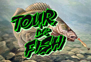 Статистика яндекс дзен Tour de Fish