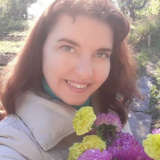 Статистика Дзен Сам себе дачный ответ
