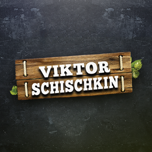 Статистика Дзен Viktor Schischkin