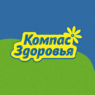 Статистика Дзен Компас Здоровья