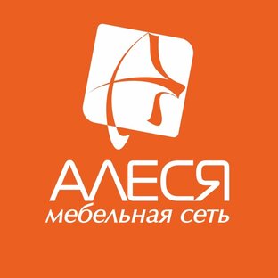 Статистика Дзен Мебельная сеть "АЛЕСЯ"