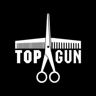 Статистика Дзен TOPGUN