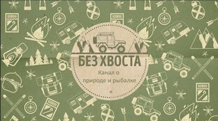 Дзен Без хвоста статистика