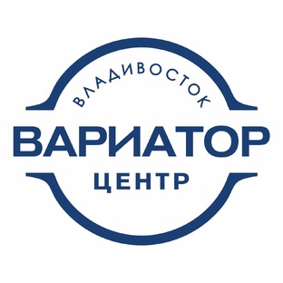 Статистика Дзен Вариатор Центр Владивосток