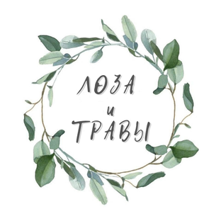 Статистика Дзен ЛОЗА И ТРАВЫ | Сортовая ива & чай
