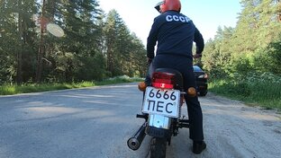 Статистика Дзен  Дядя Вова из СССР