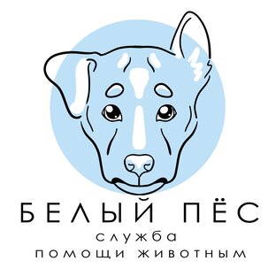 Статистика яндекс дзен Служба помощи животным "Белый пёс"