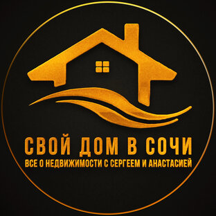 Статистика Дзен Свой Дом в Сочи