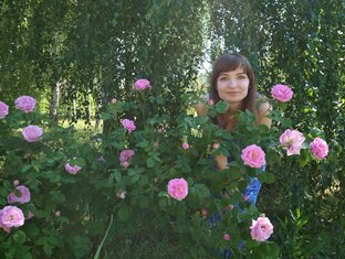 Статистика Дзен Наталья Рожкова