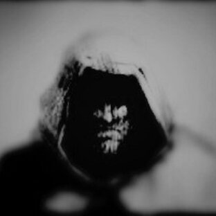 Статистика Дзен VenturinG