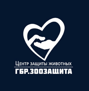 Статистика Дзен Центр АНО «ГБР.ЗООЗАЩИТА» 