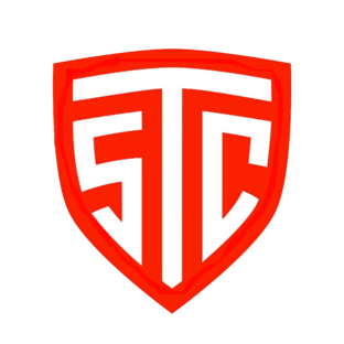 Статистика Дзен Сибирский технический центр STC 