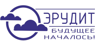 Статистика Дзен Центр "Эрудит"
